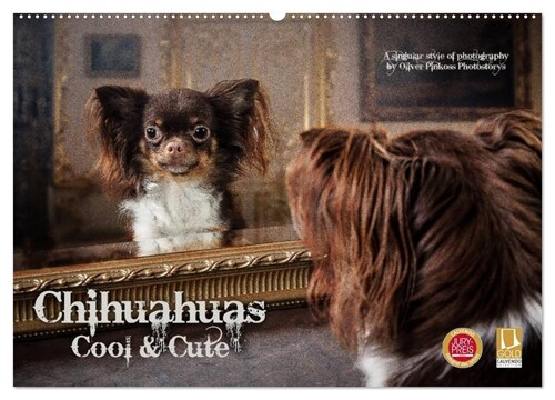 Chihuahuas - Cool and Cute (Wandkalender 2024 DIN A2 quer), CALVENDO Monatskalender (Calendar)