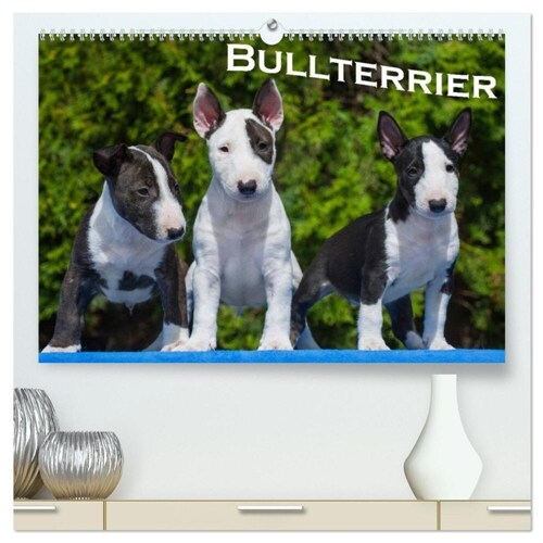Bullterrier (hochwertiger Premium Wandkalender 2024 DIN A2 quer), Kunstdruck in Hochglanz (Calendar)