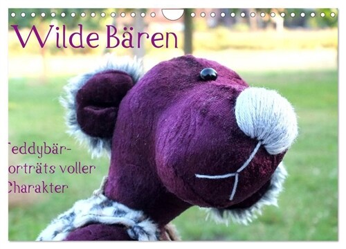 Wilde Baren - Teddybar-Portrats voller Charakter (Wandkalender 2024 DIN A4 quer), CALVENDO Monatskalender (Calendar)