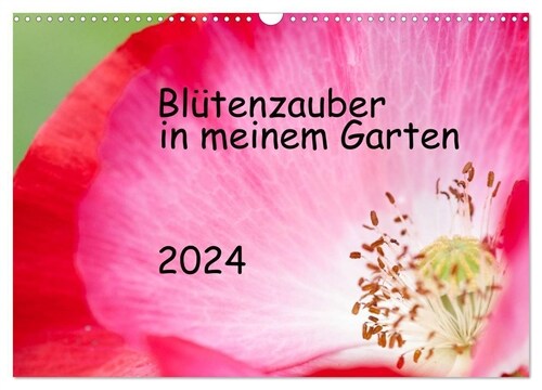 Blutenzauber in meinem Garten (Wandkalender 2024 DIN A3 quer), CALVENDO Monatskalender (Calendar)