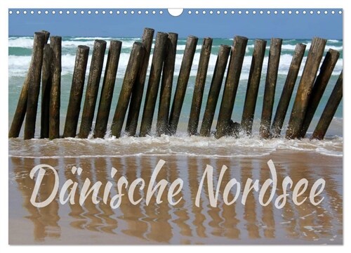 Danische Nordsee (Wandkalender 2024 DIN A3 quer), CALVENDO Monatskalender (Calendar)