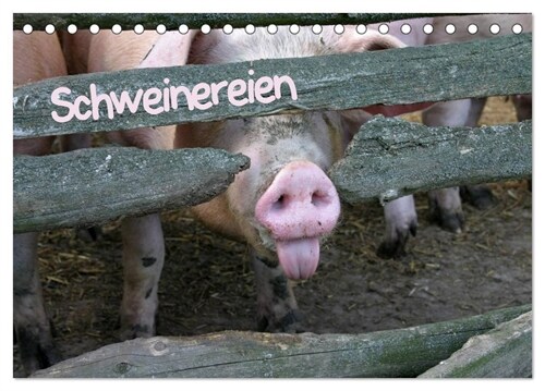 Schweinereien (Tischkalender 2024 DIN A5 quer), CALVENDO Monatskalender (Calendar)