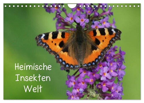 Heimische Insekten Welten (Wandkalender 2024 DIN A4 quer), CALVENDO Monatskalender (Calendar)