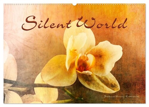 Silent World (Wandkalender 2024 DIN A2 quer), CALVENDO Monatskalender (Calendar)