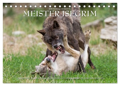 Meister Isegrim (Tischkalender 2024 DIN A5 quer), CALVENDO Monatskalender (Calendar)