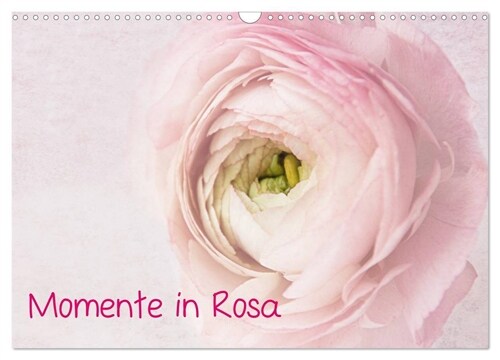 Momente in Rosa (Wandkalender 2024 DIN A3 quer), CALVENDO Monatskalender (Calendar)