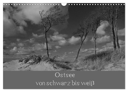 Ostsee - von schwarz bis weiß (Wandkalender 2024 DIN A3 quer), CALVENDO Monatskalender (Calendar)