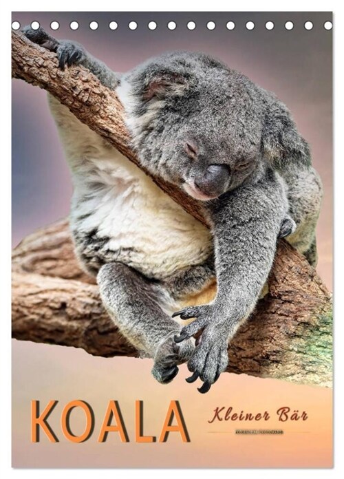 Koala, kleiner Bar (Tischkalender 2024 DIN A5 hoch), CALVENDO Monatskalender (Calendar)