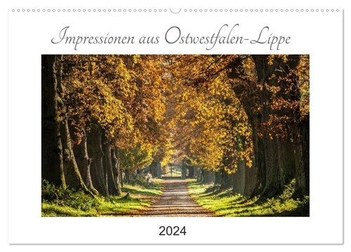 Impressionen aus Ostwestfalen-Lippe (Wandkalender 2024 DIN A2 quer), CALVENDO Monatskalender (Calendar)