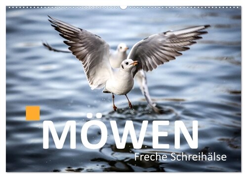 MOWEN Freche Schreihalse (Wandkalender 2024 DIN A2 quer), CALVENDO Monatskalender (Calendar)