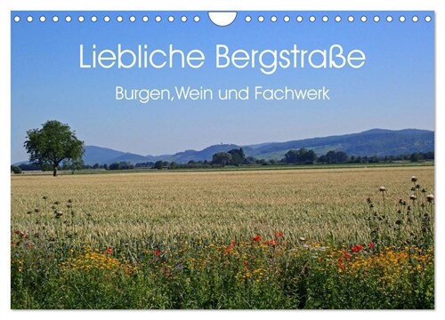 Liebliche Bergstraße - Burgen, Wein und Fachwerk (Wandkalender 2024 DIN A4 quer), CALVENDO Monatskalender (Calendar)