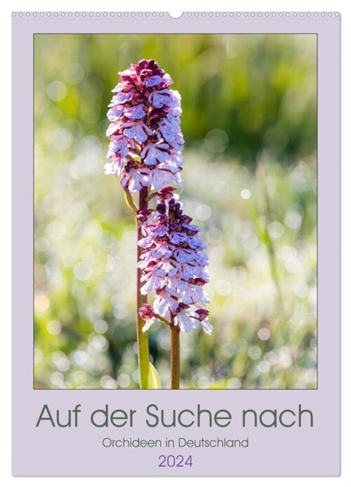 Auf der Suche nach Orchideen in Deutschland (Wandkalender 2024 DIN A2 hoch), CALVENDO Monatskalender (Calendar)