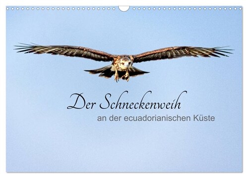 Der Schneckenweih (Wandkalender 2024 DIN A3 quer), CALVENDO Monatskalender (Calendar)