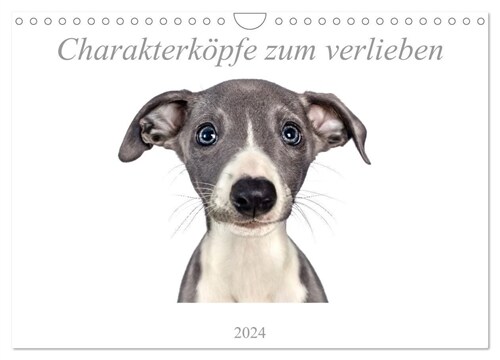 Charakterkopfe zum verlieben (Wandkalender 2024 DIN A4 quer), CALVENDO Monatskalender (Calendar)