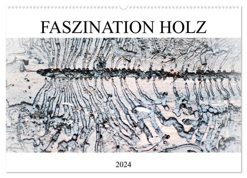 Faszination Holz (Wandkalender 2024 DIN A2 quer), CALVENDO Monatskalender (Calendar)