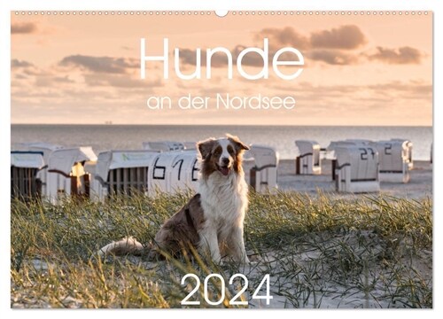 Hunde an der Nordsee (Wandkalender 2024 DIN A2 quer), CALVENDO Monatskalender (Calendar)