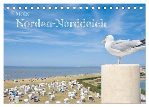 Moin Norden-Norddeich (Tischkalender 2024 DIN A5 quer), CALVENDO Monatskalender (Calendar)