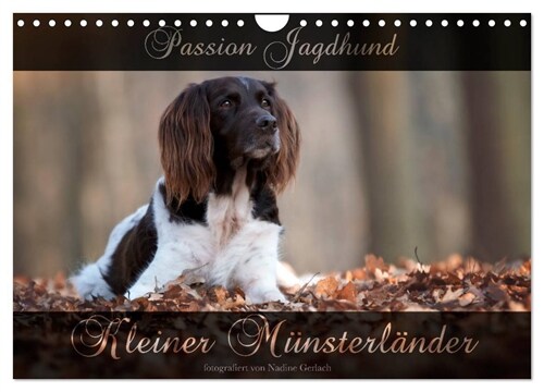 Passion Jagdhund - Kleiner Munsterlander (Wandkalender 2024 DIN A4 quer), CALVENDO Monatskalender (Calendar)