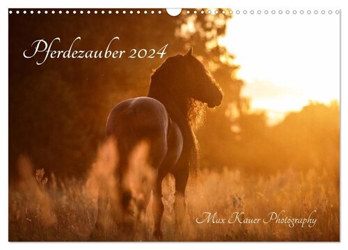 Pferdezauber 2024 (Wandkalender 2024 DIN A3 quer), CALVENDO Monatskalender (Calendar)