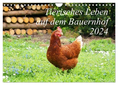 Tierisches Leben auf dem Bauernhof 2024 (Wandkalender 2024 DIN A4 quer), CALVENDO Monatskalender (Calendar)