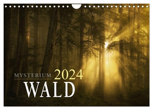 Mysterium Wald (Wandkalender 2024 DIN A4 quer), CALVENDO Monatskalender (Calendar)