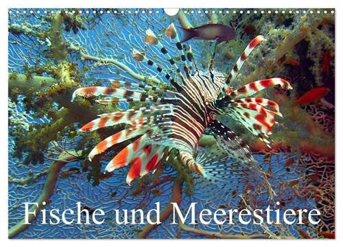Fische und Meerestiere (Wandkalender 2024 DIN A3 quer), CALVENDO Monatskalender (Calendar)