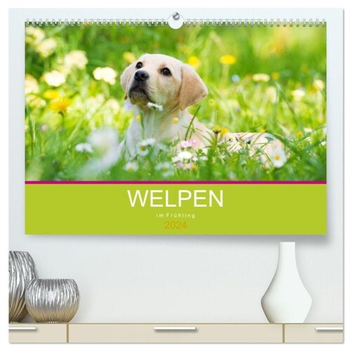 Welpen im Fruhling (hochwertiger Premium Wandkalender 2024 DIN A2 quer), Kunstdruck in Hochglanz (Calendar)