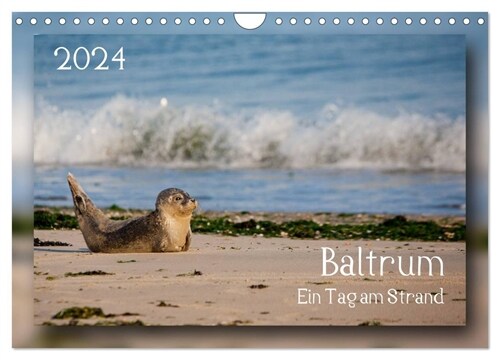 Baltrum - Ein Tag am Strand (Wandkalender 2024 DIN A4 quer), CALVENDO Monatskalender (Calendar)