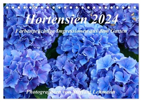 Hortensien 2024. Farbenprachtige Impressionen aus dem Garten (Tischkalender 2024 DIN A5 quer), CALVENDO Monatskalender (Calendar)