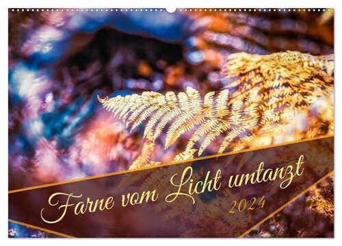 Farne vom Licht umtanzt (Wandkalender 2024 DIN A2 quer), CALVENDO Monatskalender (Calendar)