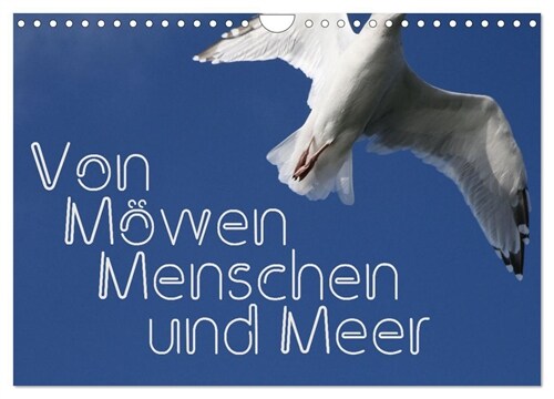 Von Mowen, Menschen und Meer (Wandkalender 2024 DIN A4 quer), CALVENDO Monatskalender (Calendar)