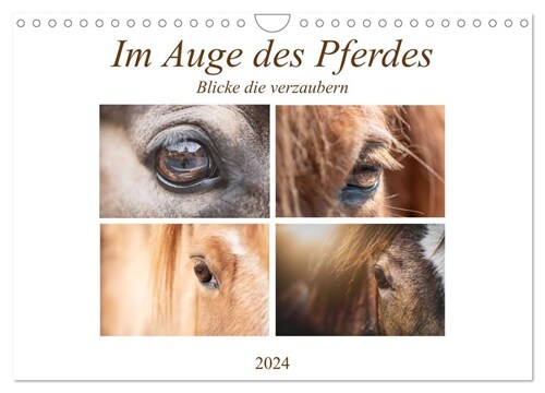 Im Auge des Pferdes (Wandkalender 2024 DIN A4 quer), CALVENDO Monatskalender (Calendar)