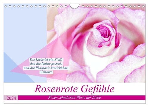 Rosenrote Gefuhle, Rosen schmucken Worte der Liebe (Wandkalender 2024 DIN A4 quer), CALVENDO Monatskalender (Calendar)