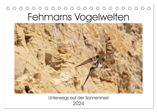 Fehmarn Vogelwelten (Tischkalender 2024 DIN A5 quer), CALVENDO Monatskalender (Calendar)