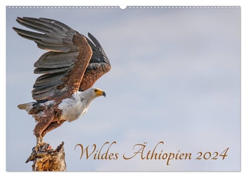 Wildes Athiopien (Wandkalender 2024 DIN A2 quer), CALVENDO Monatskalender (Calendar)