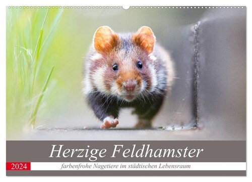 Herzige Feldhamster - farbenfrohe Nagetiere im stadtischen Lebensraum (Wandkalender 2024 DIN A2 quer), CALVENDO Monatskalender (Calendar)