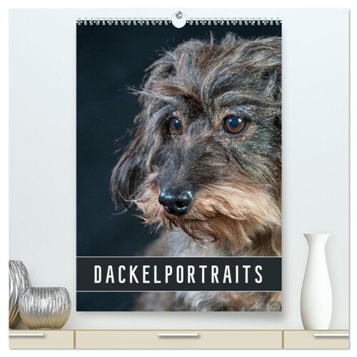 Dackelportraits (hochwertiger Premium Wandkalender 2024 DIN A2 hoch), Kunstdruck in Hochglanz (Calendar)