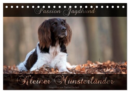 Passion Jagdhund - Kleiner Munsterlander (Tischkalender 2024 DIN A5 quer), CALVENDO Monatskalender (Calendar)