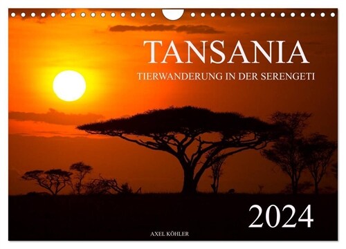 Tansania - Tierwanderung in der Serengeti (Wandkalender 2024 DIN A4 quer), CALVENDO Monatskalender (Calendar)