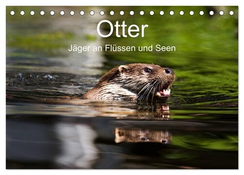 Otter - Jager an Flussen und Seen (Tischkalender 2024 DIN A5 quer), CALVENDO Monatskalender (Calendar)