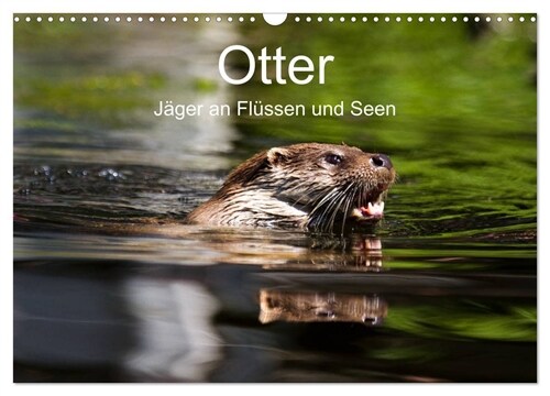 Otter - Jager an Flussen und Seen (Wandkalender 2024 DIN A3 quer), CALVENDO Monatskalender (Calendar)