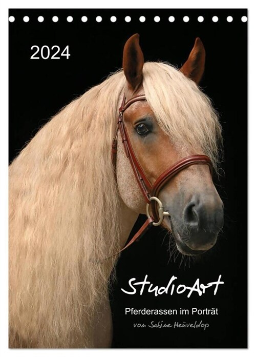 StudioArt Pferderassen im Portrat (Tischkalender 2024 DIN A5 hoch), CALVENDO Monatskalender (Calendar)