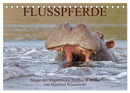 Flusspferde Magie des Augenblicks - Hippos in Afrika (Tischkalender 2024 DIN A5 quer), CALVENDO Monatskalender (Calendar)