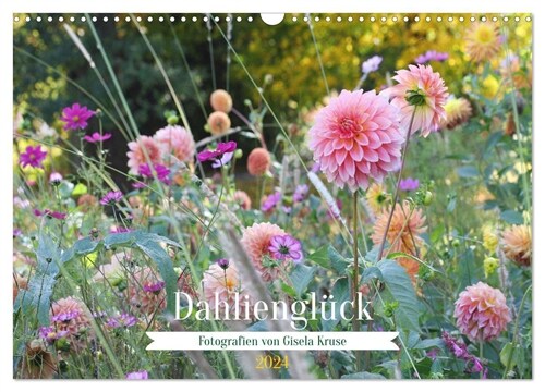 Dahliengluck (Wandkalender 2024 DIN A3 quer), CALVENDO Monatskalender (Calendar)