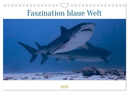 Faszination blaue Welt (Wandkalender 2024 DIN A4 quer), CALVENDO Monatskalender (Calendar)