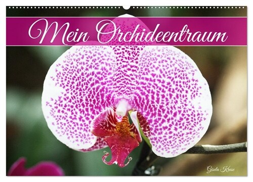 Mein Orchideentraum (Wandkalender 2024 DIN A2 quer), CALVENDO Monatskalender (Calendar)