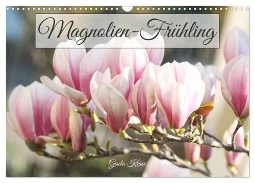 Magnolien-Fruhling (Wandkalender 2024 DIN A3 quer), CALVENDO Monatskalender (Calendar)