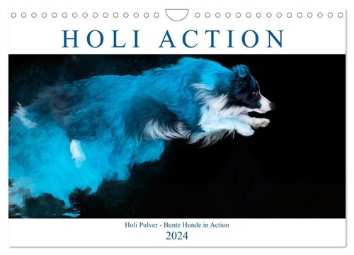 Holi Action (Wandkalender 2024 DIN A4 quer), CALVENDO Monatskalender (Calendar)