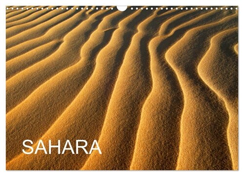 SAHARA (Wandkalender 2024 DIN A3 quer), CALVENDO Monatskalender (Calendar)