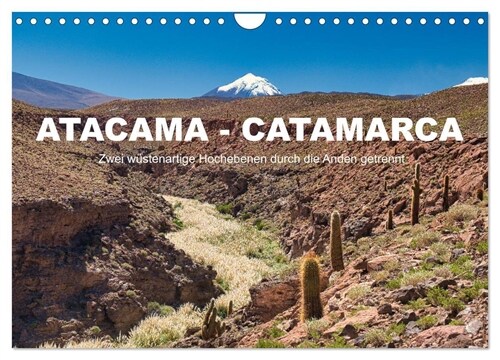 Atacama - Catamarca (Wandkalender 2024 DIN A4 quer), CALVENDO Monatskalender (Calendar)